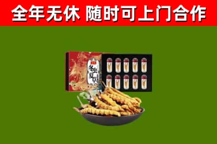 文成烟酒回收冬虫夏草礼盒.jpg
