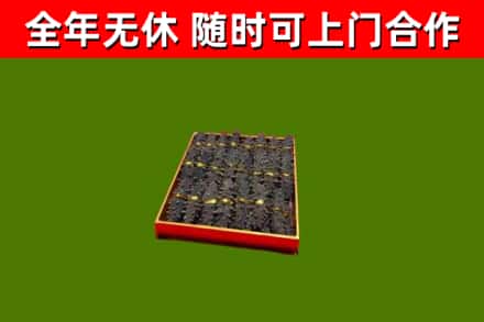 文成烟酒回收海参.jpg